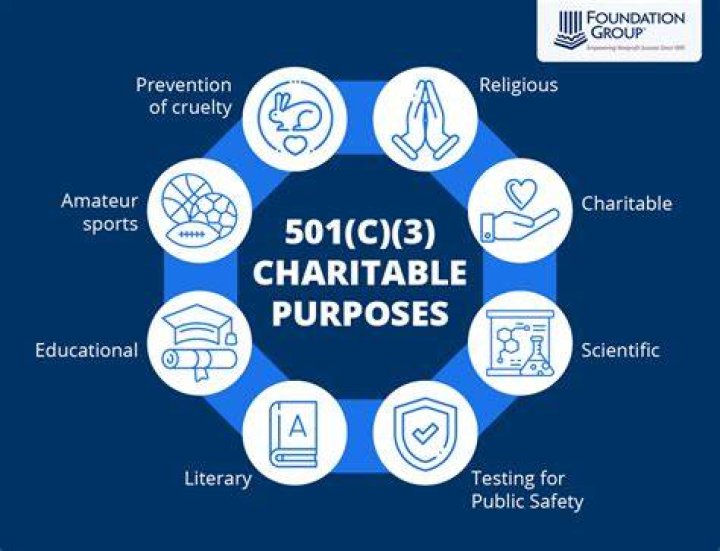Can a local government be a 501c3?