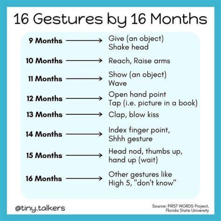 What should a 19 month old be saying?