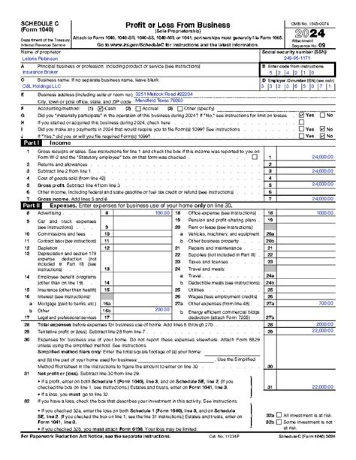 Which schedule is for reporting profit or loss from a sole proprietorship business?